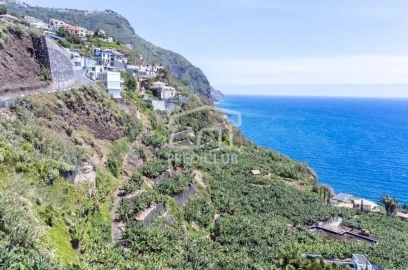 Terreno para Venda em Arco da Calheta