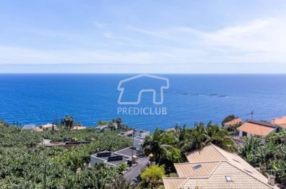Terreno para Venda em Arco da Calheta