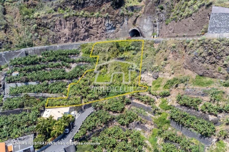 Terreno para Venda em Arco da Calheta Foto 5