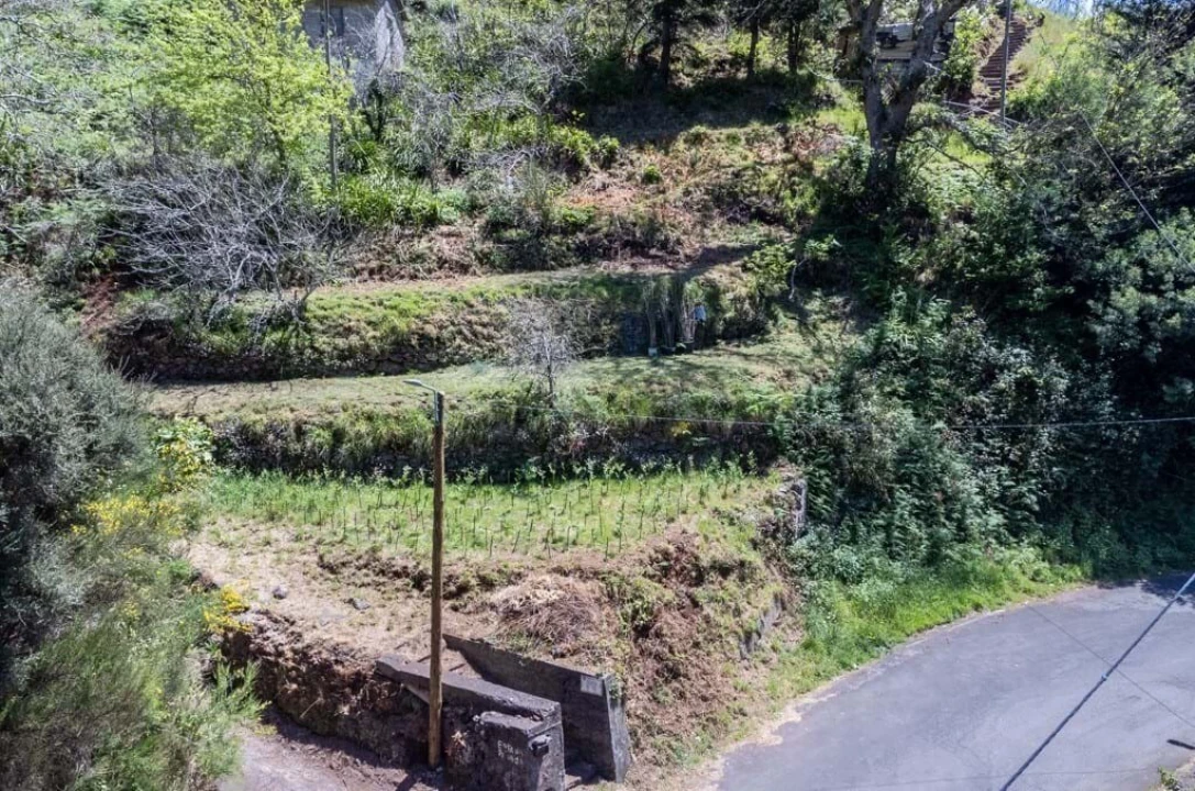 Terreno para Venda em Camacha Foto 3