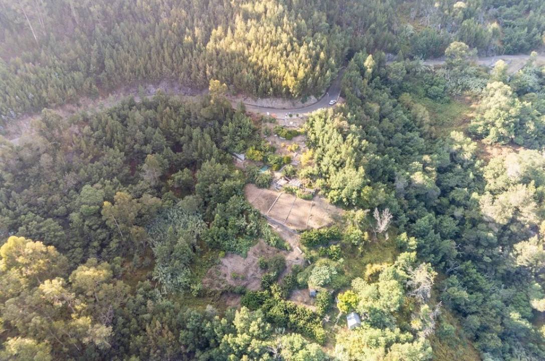 Terreno para Venda em Ribeira Brava Foto 5
