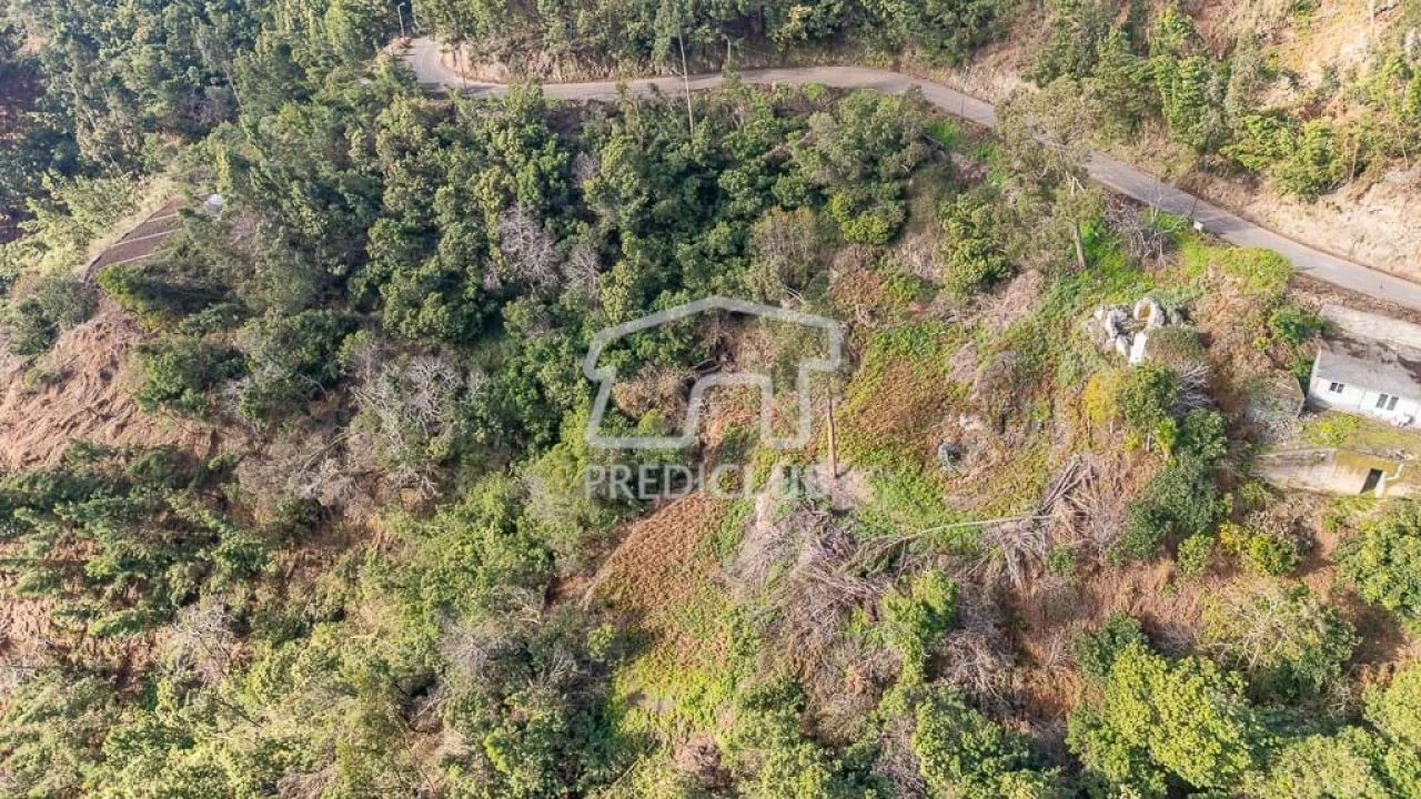 Terreno para Venda em Ribeira Brava Foto 3