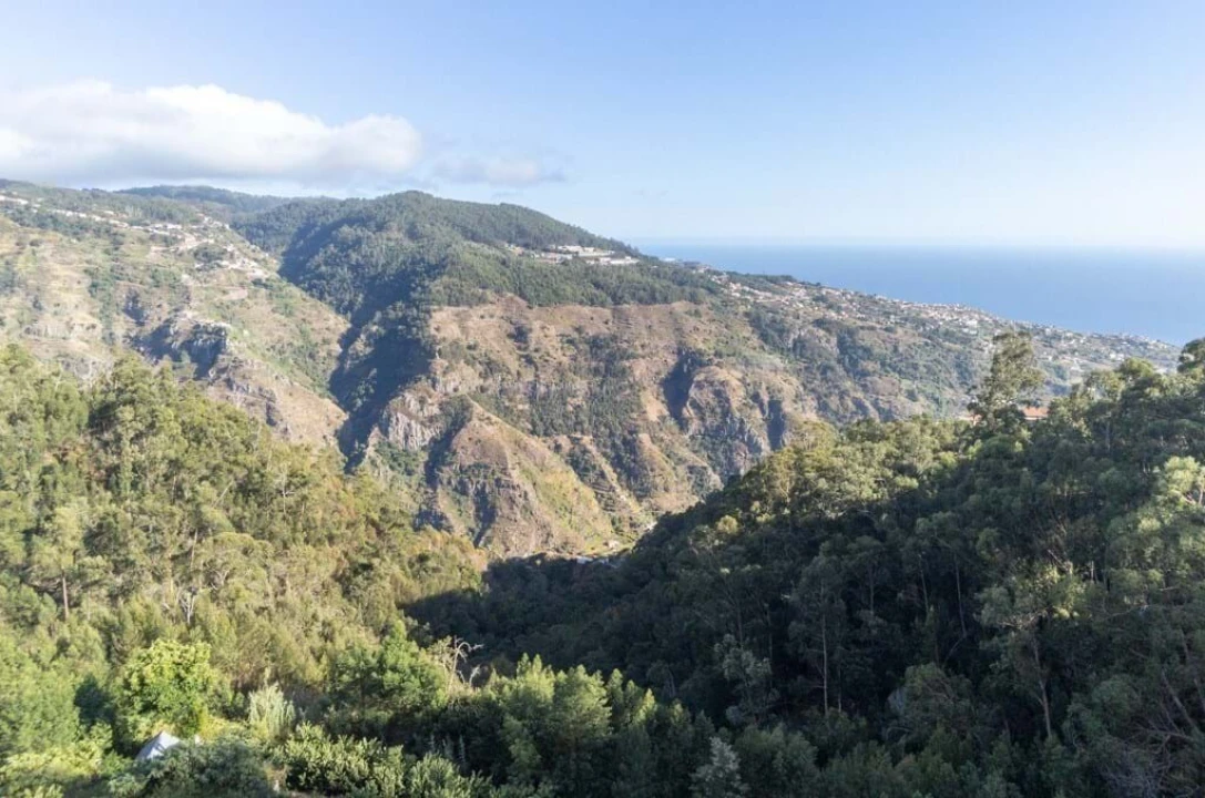 Terreno para Venda em Ribeira Brava Foto 6