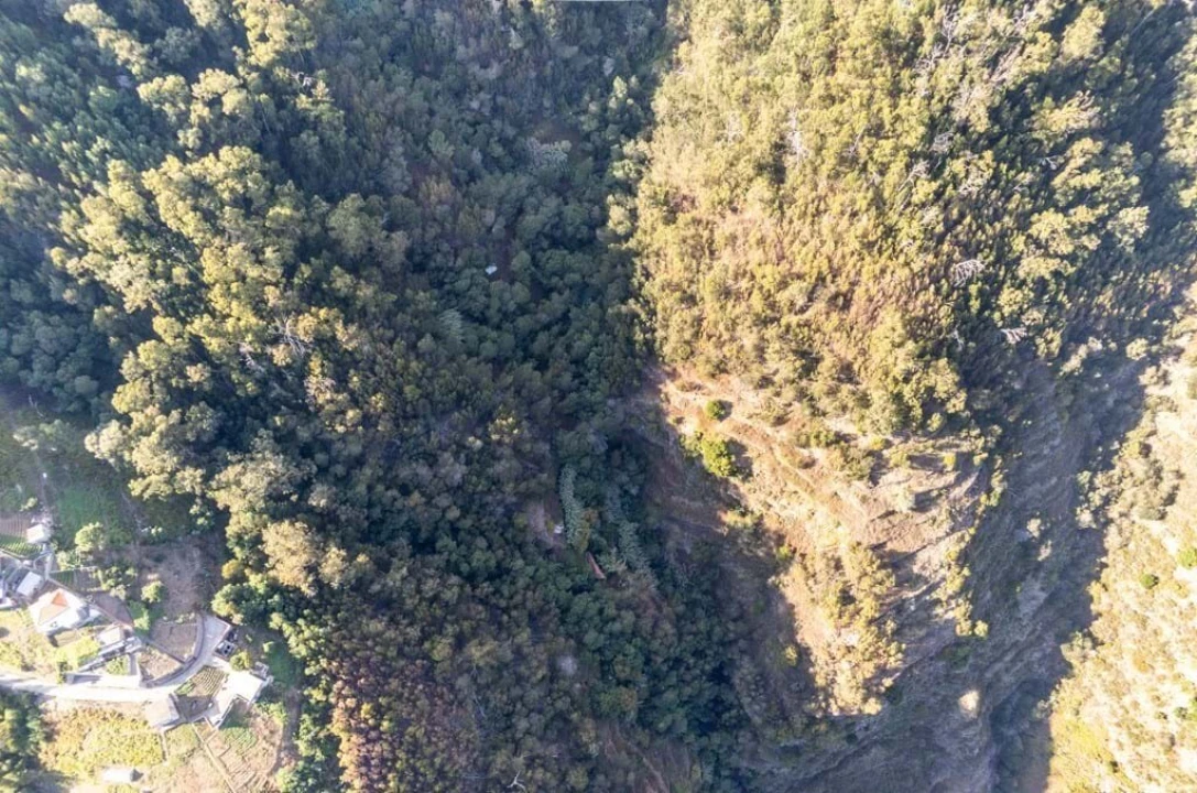 Terreno para Venda em Ribeira Brava Foto 8