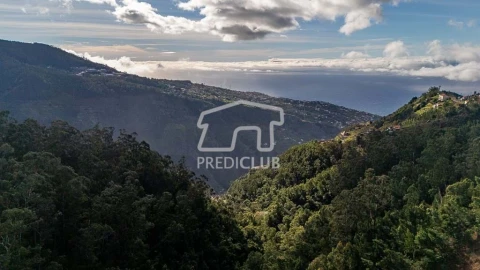 Terreno para Venda em Ribeira Brava