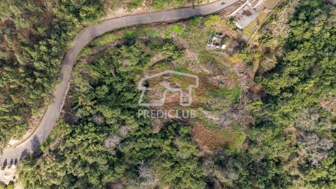 Terreno para Venda em Ribeira Brava