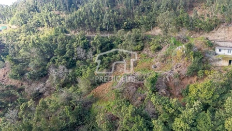 Terreno para Venda em Ribeira Brava