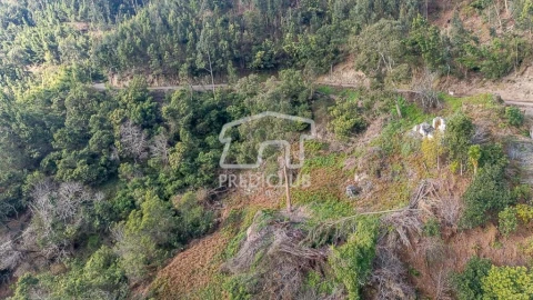 Terreno para Venda em Ribeira Brava