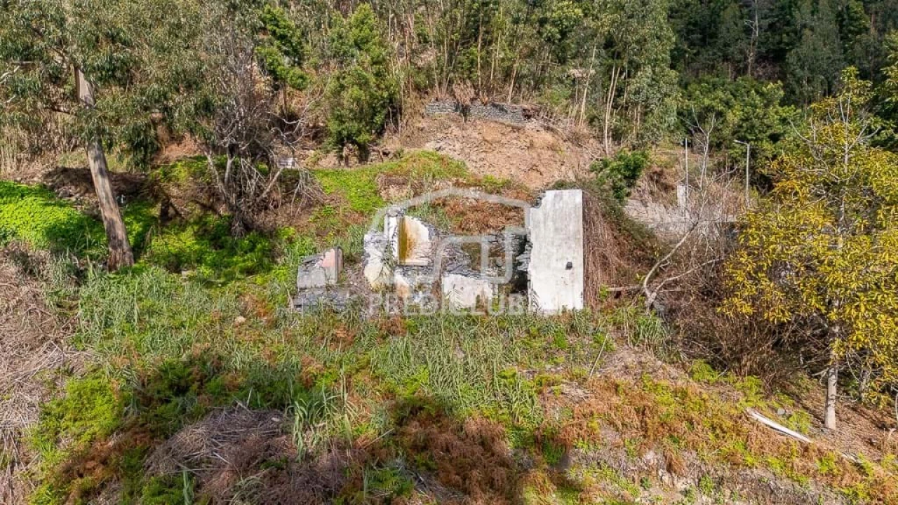 Terreno para Venda em Ribeira Brava Foto 11