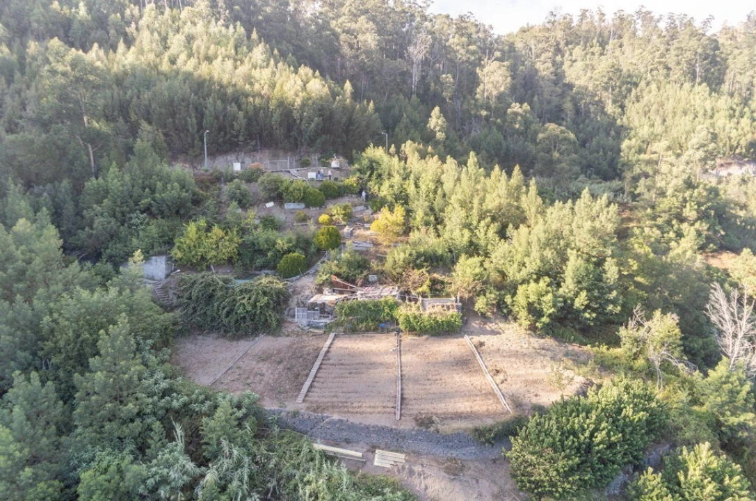 Terreno para Venda em Ribeira Brava Foto 3