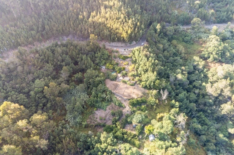 Terreno para Venda em Ribeira Brava Foto 5