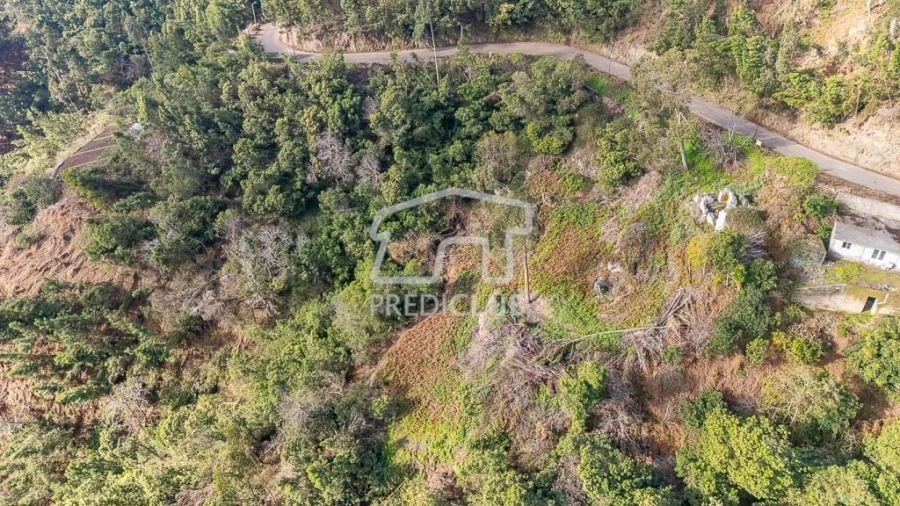 Terreno para Venda em Ribeira Brava Foto 3