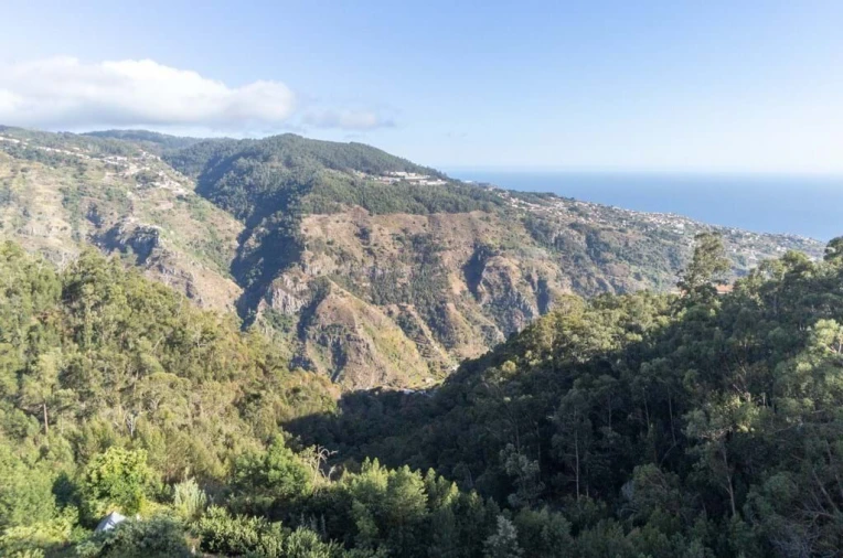 Terreno para Venda em Ribeira Brava Foto 6