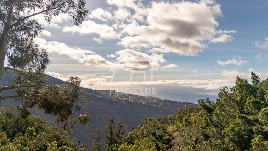Terreno para Venda em Ribeira Brava Foto 12