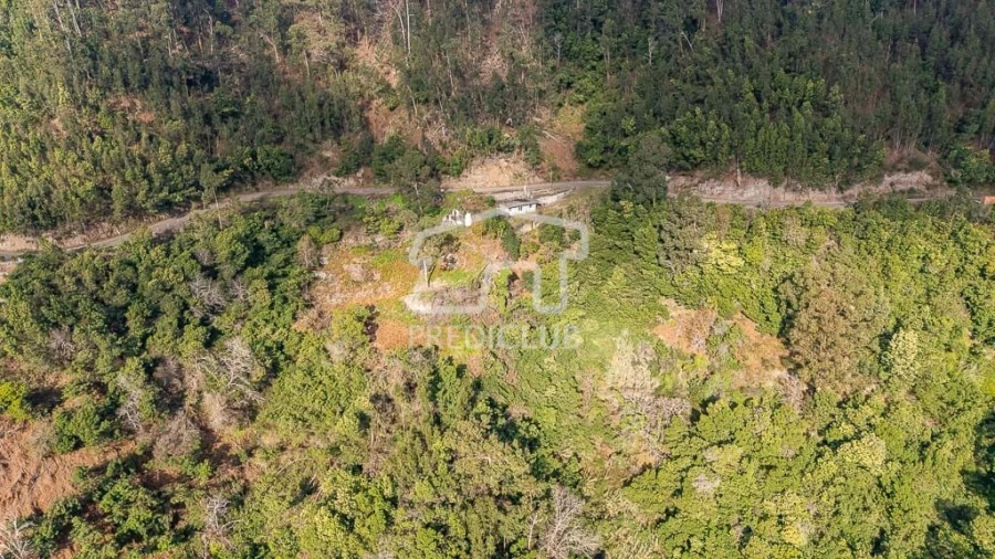 Terreno para Venda em Ribeira Brava Foto 2