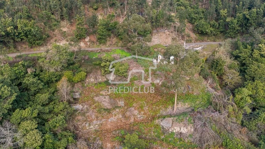 Terreno para Venda em Ribeira Brava Foto 6