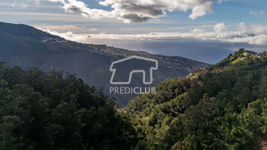 Terreno para Venda em Ribeira Brava Foto 9