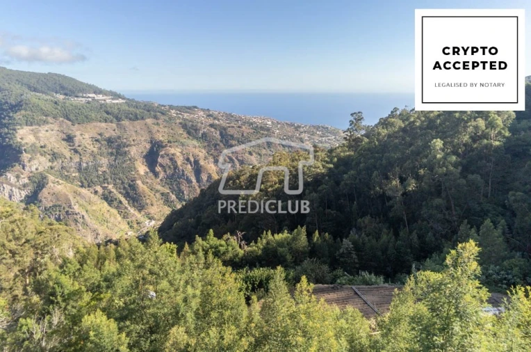 Terreno para Venda em Ribeira Brava