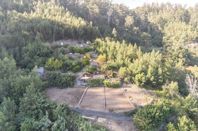 Terreno para Venda em Ribeira Brava Foto 3