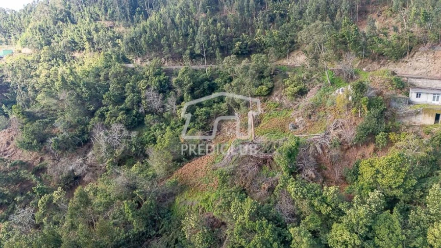 Terreno para Venda em Ribeira Brava Foto 8