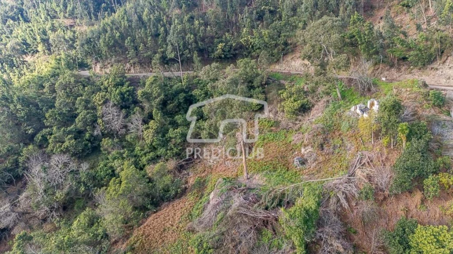 Terreno para Venda em Ribeira Brava Foto 7