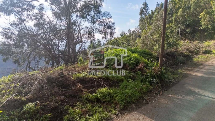 Terreno para Venda em Ribeira Brava Foto 13