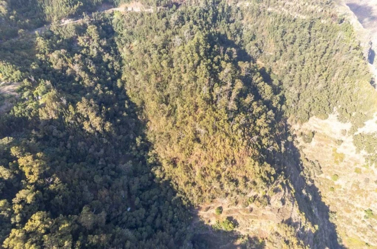 Terreno para Venda em Ribeira Brava Foto 7