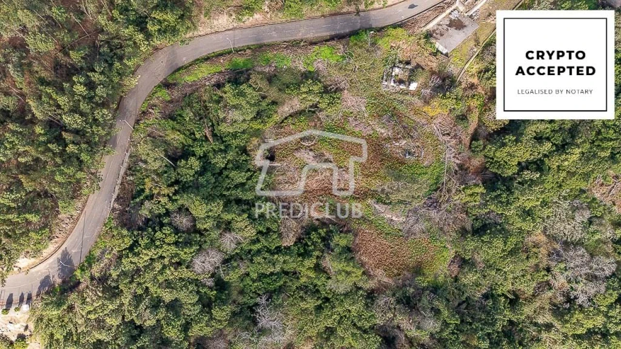 Terreno para Venda em Ribeira Brava Foto 1