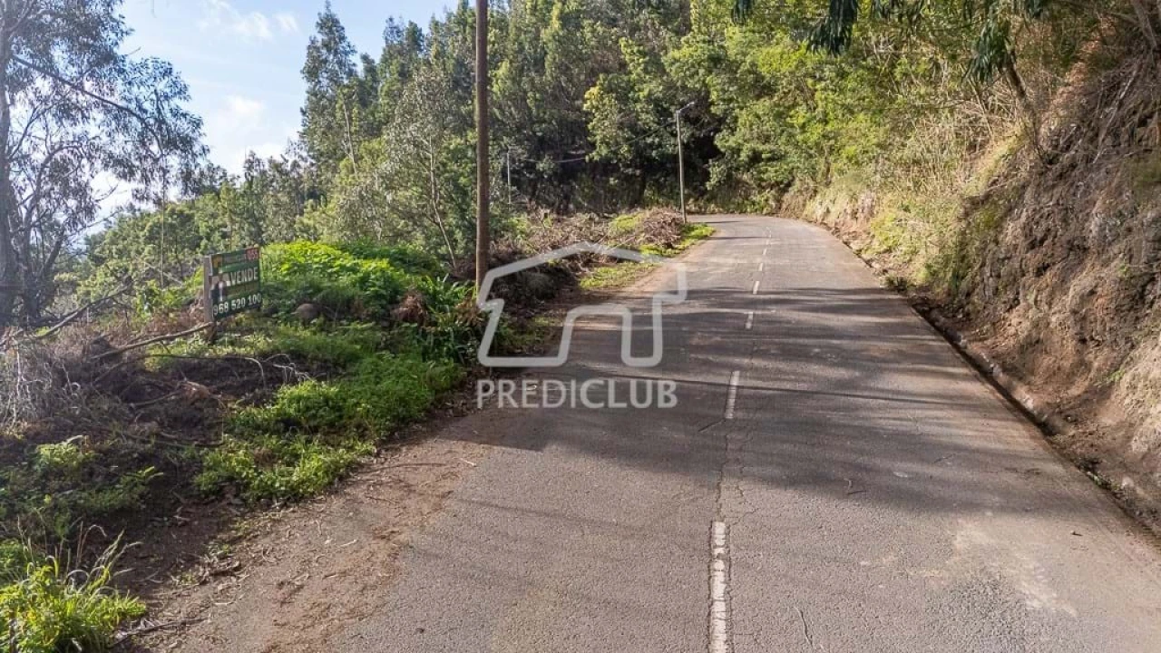 Terreno para Venda em Ribeira Brava Foto 14
