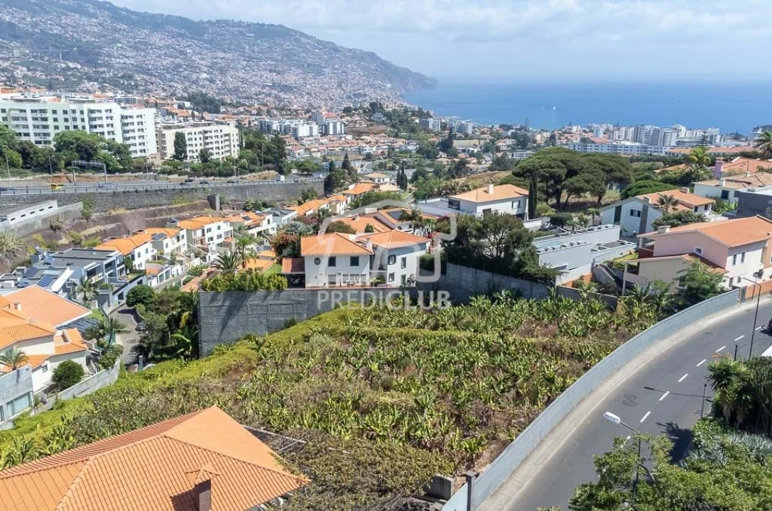 Terreno para Venda em São Martinho Foto 8