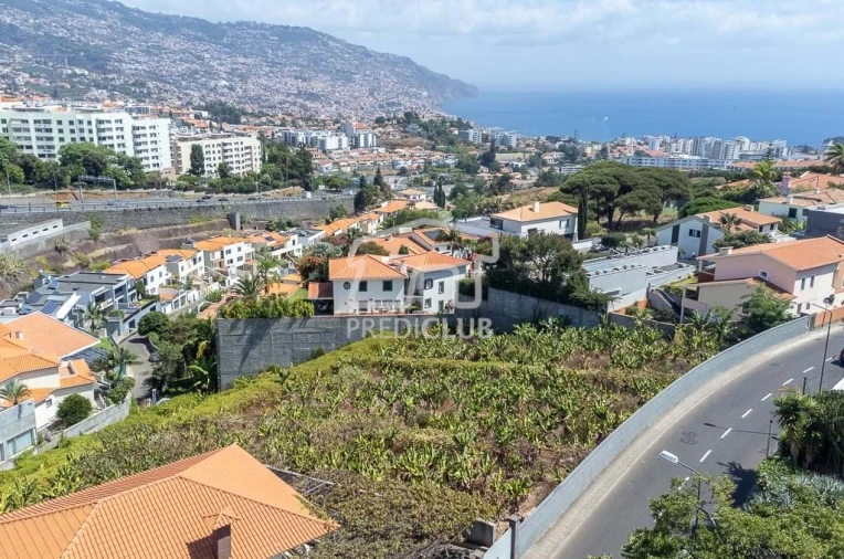 Terreno para Venda em São Martinho Foto 8