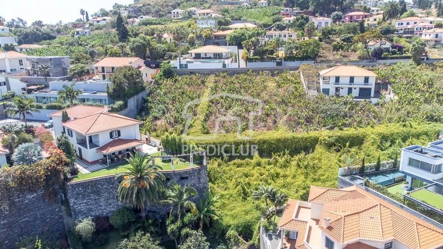 Terreno para Venda em São Martinho Foto 7
