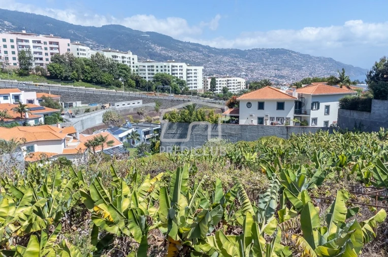 Terreno para Venda em São Martinho Foto 11
