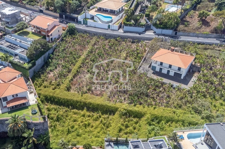 Terreno para Venda em São Martinho Foto 6