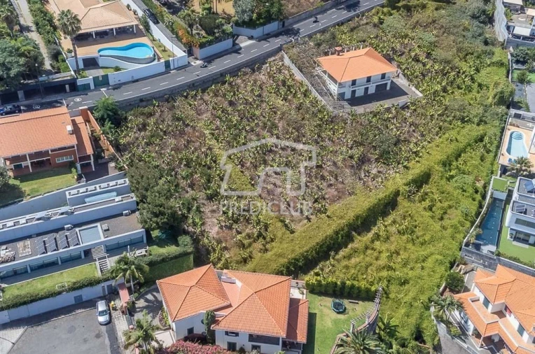 Terreno para Venda em São Martinho Foto 5