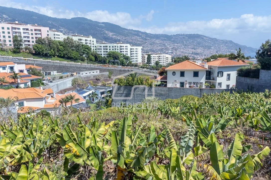 Terreno para Venda em São Martinho Foto 11