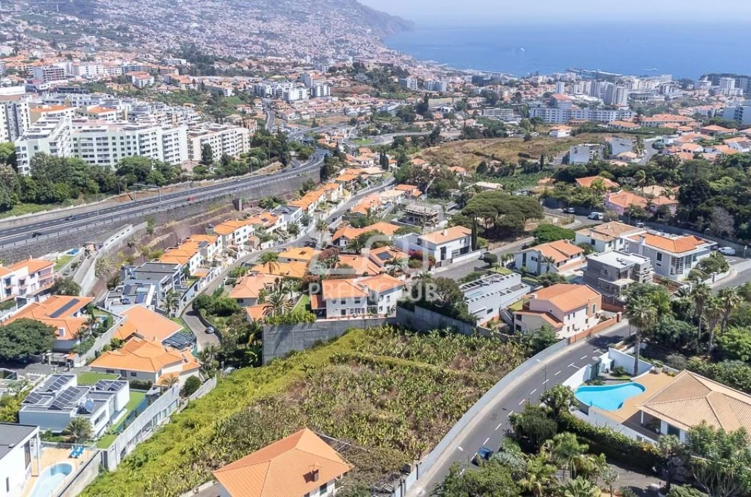 Terreno para Venda em São Martinho Foto 9