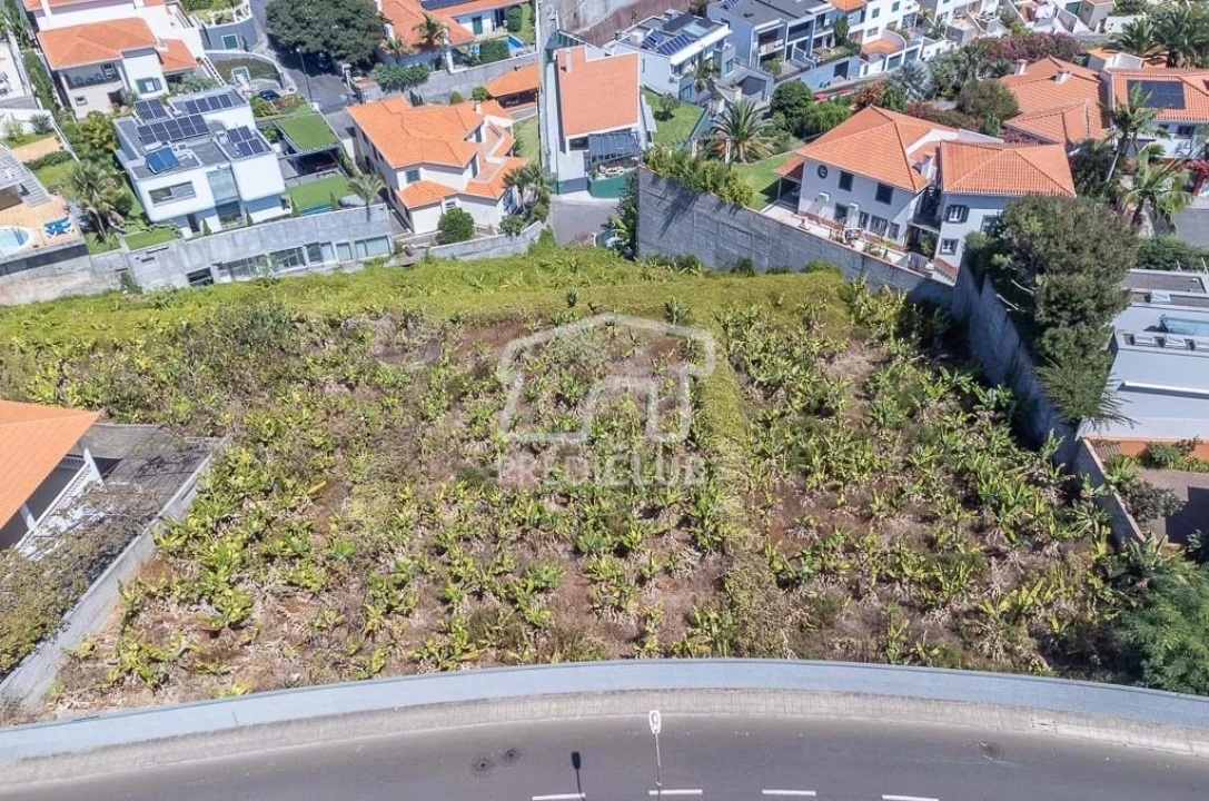 Terreno para Venda em São Martinho Foto 10