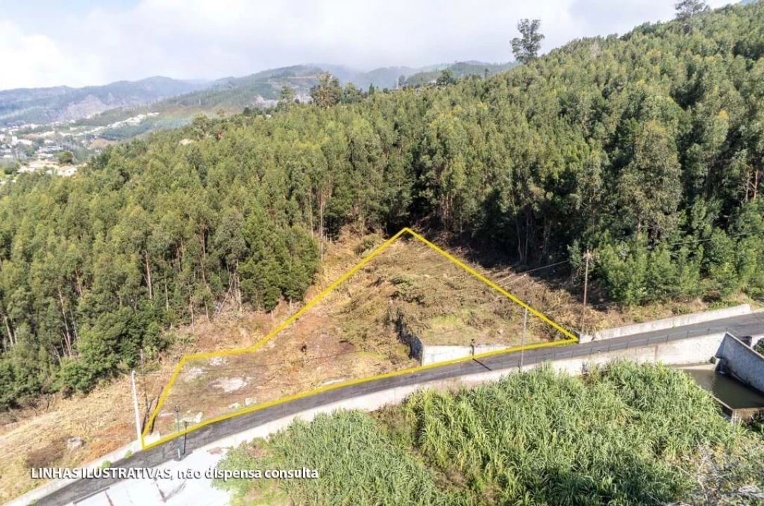 Terreno para Venda em Funchal (Santa Luzia) Foto 7