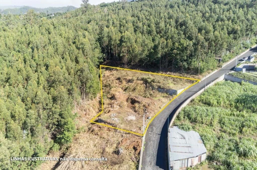 Terreno para Venda em Funchal (Santa Luzia) Foto 10