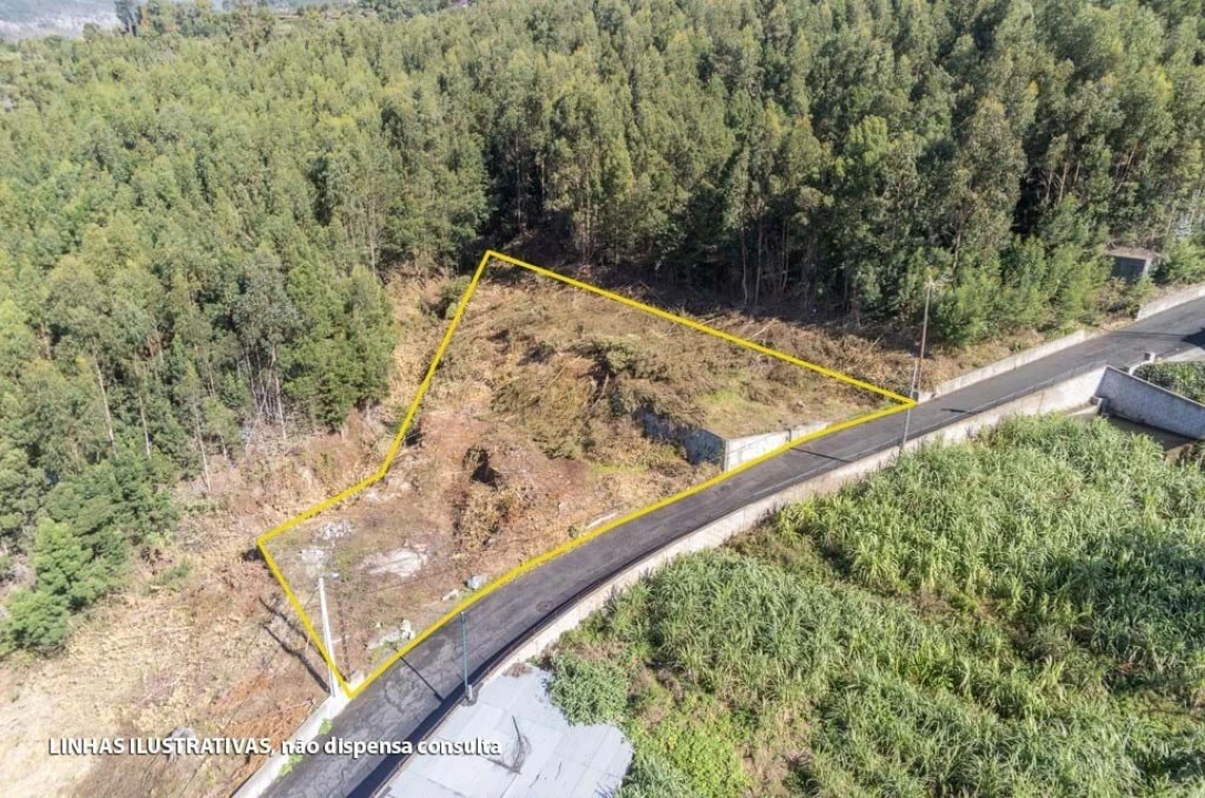 Terreno para Venda em Funchal (Santa Luzia) Foto 6