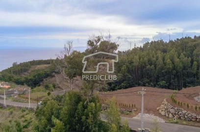 Terreno para Venda em Santa Cruz
