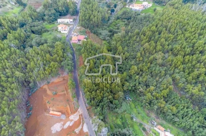 Terreno para Venda em Santa Cruz