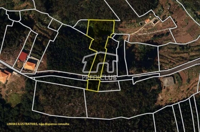 Terreno para Venda em Santa Cruz