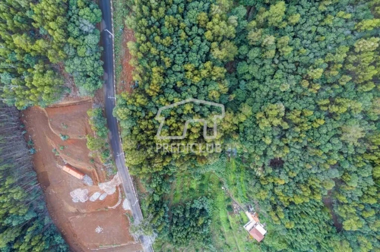 Terreno para Venda em Santa Cruz Foto 3