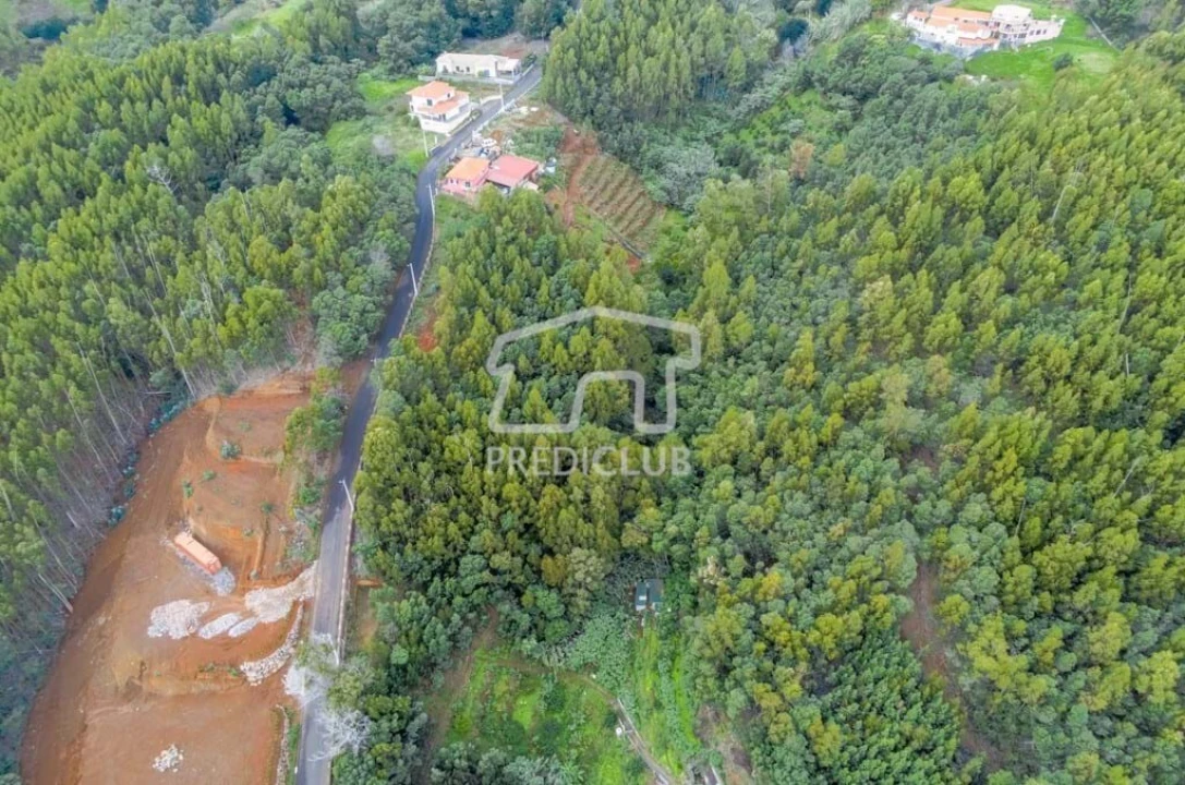 Terreno para Venda em Santa Cruz Foto 6