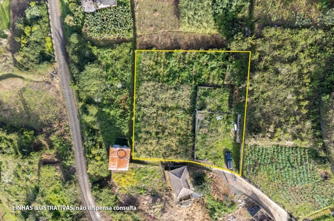 Terreno para Venda em Porto da Cruz Foto 6