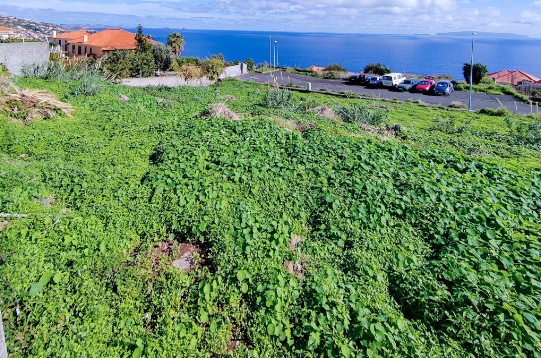 Terreno para Venda em Santa Cruz Foto 7