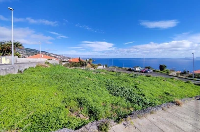 Terreno para Venda em Santa Cruz