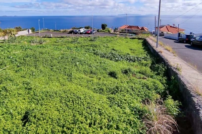 Terreno para Venda em Santa Cruz